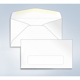 Blank Envelope,W/Window, 6 3/4, 6-1/2" x 3-5/8 