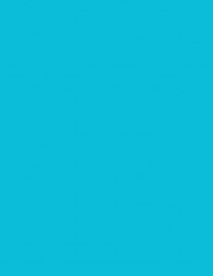 8-1/2" x 11" Fluorescent Blue 1 Label per Sheet 8.5 x 11