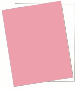 8-1/2 x 11" Laser Carbonless 2 Part Paper 5896 - Case
