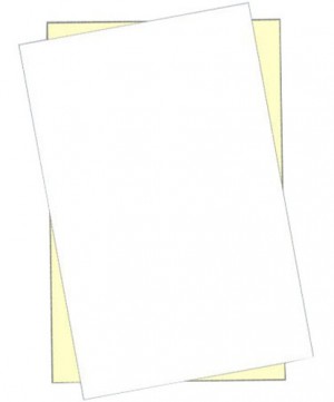 Legal Size 2 Part NCR Paper