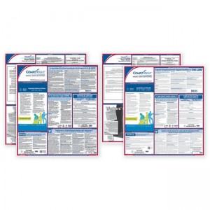 Labor Law Bilingual Federal/State Combo Posters