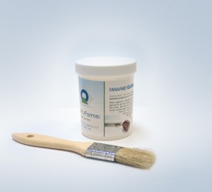 NCR Fanapart Padding Adhesive 8 Fl oz.