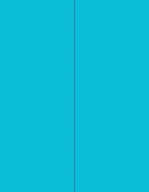 8-1/2" x 11" Fluorescent Blue 2 Labels per Sheet 4-1/4" x 11"