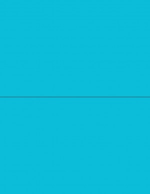8-1/2" x 11" Fluorescent Blue 2 Labels per Sheet 8-1/2" x 5-1/2"
