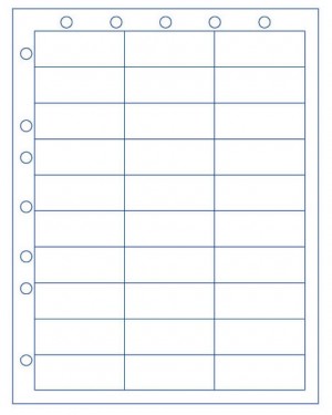 Sheet with 30 Labels, and Hole Punching
